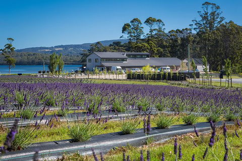 Private Tasman Peninsula Cruise Ship Tour From Port Arthur - Attractions 0