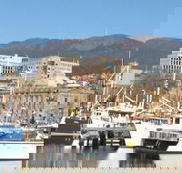 Private Mt Wellington Richmond Bonorong Wildlife Sanctuary Tour from Hobart - Attractions