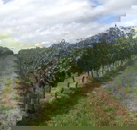 Coal River Valley  Hobart food  wine grazing tour - Attractions