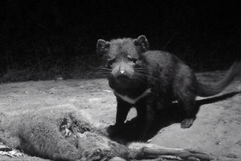Devil Hide (Overnight Stay, $495 For Up To 3 People) - Attractions 1