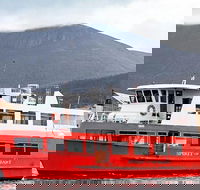 Mt Wellington and Harbour Cruise combo - Attractions