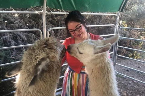 Farm Visit - Attractions 1