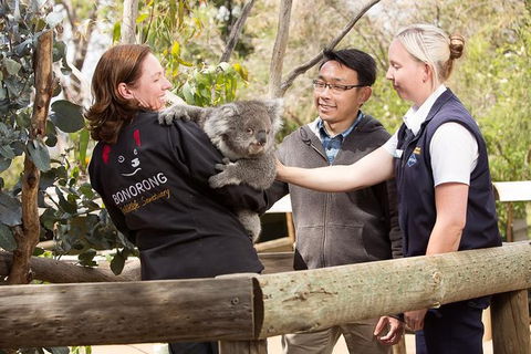 3 Of Hobart's Best Experiences In One Day - Mt Wellington, Richmond And Bonorong - Attractions 0