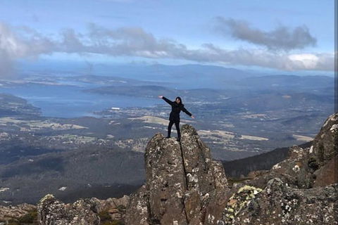 Mt Wellington ONE WAY WALKERS Tour, Great Option For Bushwalkers - Attractions 0