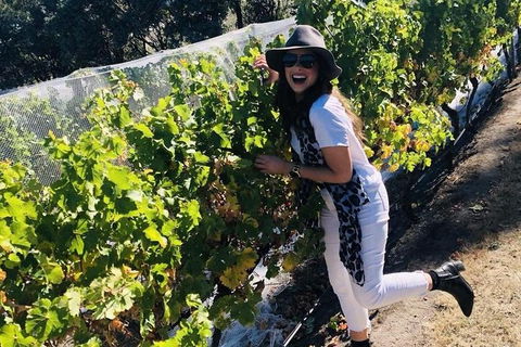 Valleys Of Vino Tour - Attractions 1