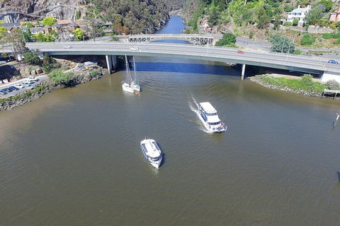 Cataract Gorge Cruise 1:30 Pm - Attractions 2