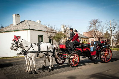 Trot Through Time - See Attractions 0