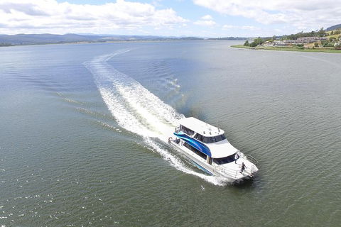 2.5 Hour Afternoon Discovery Cruise Including Cataract Gorge Departs At 1: 30 Pm - Attractions 1