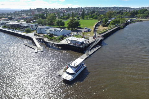 2.5 Hour Afternoon Discovery Cruise Including Cataract Gorge Departs At 1: 30 Pm - Attractions 8