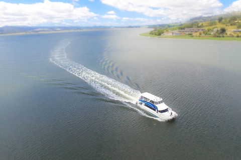 2.5 Hour Afternoon Discovery Cruise Including Cataract Gorge Departs At 1: 30 Pm - Attractions 6