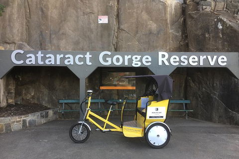 Launceston Cataract Gorge - Twilight, Wildlife, Local History Walking Tour. - Attractions 0