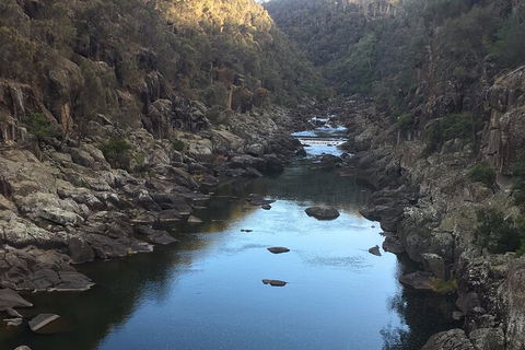 Launceston Cataract Gorge - Twilight, Wildlife, Local History Walking Tour. - Attractions 2