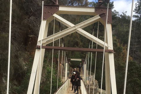 Launceston Cataract Gorge - Twilight, Wildlife, Local History Walking Tour. - Attractions 3
