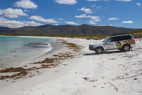 4X4 And Lunch Half Day Bicheno Coastal Mountain - Attractions 0