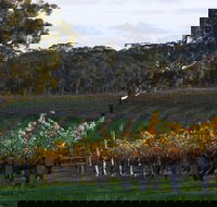 Barossa Valley with Hahndorf Tour from Adelaide - Attractions