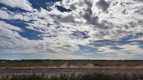 Barossa Valley Full-Day Tour From Adelaide With Maggie Beer Farm - Attractions 3