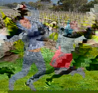 Mclaren Vale Luxury Full Day Small Group Wine Tour - Attractions