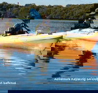 Adelaide Dolphin Sanctuary and Ships Graveyard Kayak Tour - Attractions