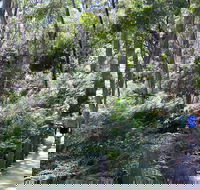 Self-Guided Waterfall Gully to Mount Lofty Hike from Adelaide - Attractions