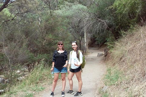 Self-Guided Waterfall Gully To Mount Lofty Hike From Adelaide - Attractions 4