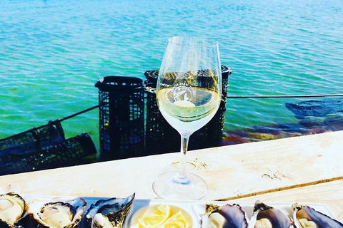 Coffin Bay Oyster Farm & Tasting Tour - Attractions 11
