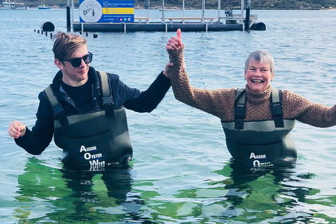Coffin Bay Oyster Farm & Tasting Tour - Attractions 12