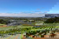 Small-Group Full-Day Adelaide Hills and Hahndorf Wine Tour from Adelaide