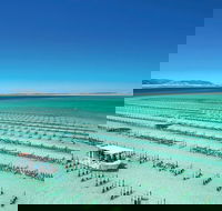 Coffin Bay Day Tour - A Taste of Coffin Bay - Attractions