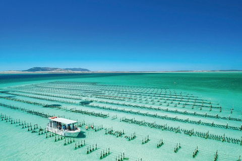 Coffin Bay Day Tour - A Taste Of Coffin Bay - Attractions 2