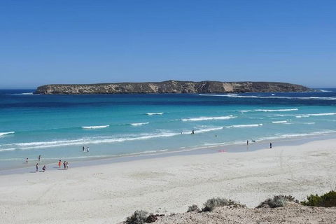 Coffin Bay Day Tour - A Taste Of Coffin Bay - Attractions 12