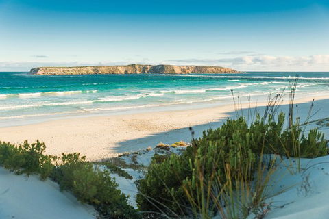 Coffin Bay Day Tour - A Taste Of Coffin Bay - Attractions 13