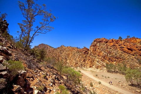 Lake Eyre And Flinders Ranges 4 Day Small Group 4WD Eco Safari - Attractions 1