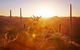 Lake Eyre And Flinders Ranges 4 Day Small Group 4WD Eco Safari - thumb 6