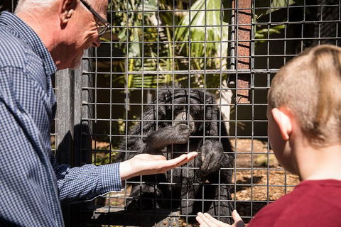 Adelaide Zoo Behind The Scenes Experience: Meet The Primates - Attractions 1