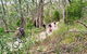 Mount Lofty Descent Bike Tour From Adelaide - thumb 5