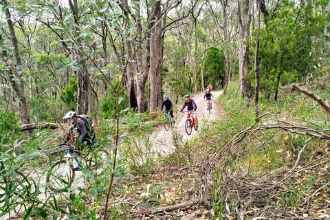 Mount Lofty Descent Bike Tour From Adelaide - Attractions 5