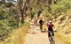 Mount Lofty Descent Bike Tour From Adelaide - thumb 3