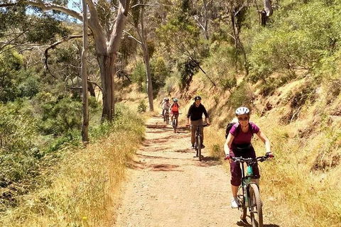 Mount Lofty Descent Bike Tour From Adelaide - Attractions 3