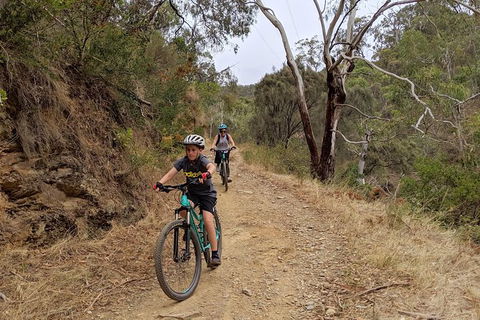Mount Lofty Descent Bike Tour From Adelaide - Attractions 8