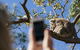 Exceptional Port Lincoln, Seafood And Wildlife Tour - thumb 0