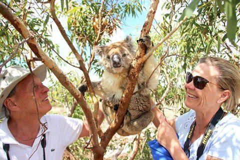 Exceptional Port Lincoln, Seafood And Wildlife Tour - Attractions 6
