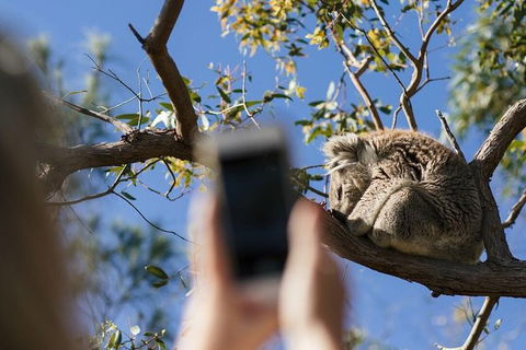 Exceptional Port Lincoln, Seafood And Wildlife Tour - Attractions 2