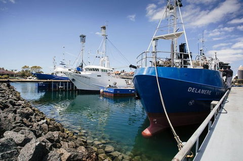 Exceptional Port Lincoln, Seafood And Wildlife Tour - Attractions 8
