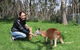 Cleland Wildlife Park Tour From Adelaide Including Mount Lofty Summit - thumb 1