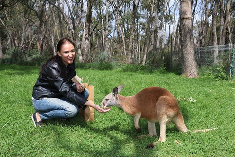 Cleland Wildlife Park Tour From Adelaide Including Mount Lofty Summit - Attractions 1