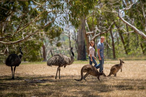 Cleland Wildlife Park Tour From Adelaide Including Mount Lofty Summit - Attractions 5