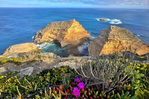 One Day Port Lincoln Tour - Tasting Eyre - Attractions 1
