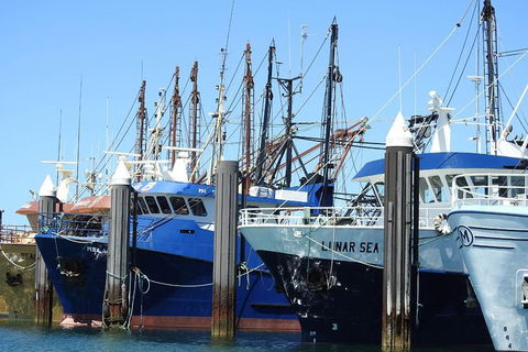 One Day Port Lincoln Tour - Tasting Eyre - Attractions 8