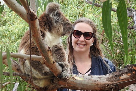 One Day Port Lincoln Tour - Tasting Eyre - Attractions 2
