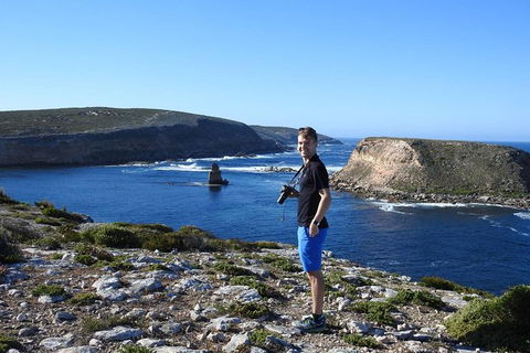 One Day Port Lincoln Tour - Tasting Eyre - Attractions 11